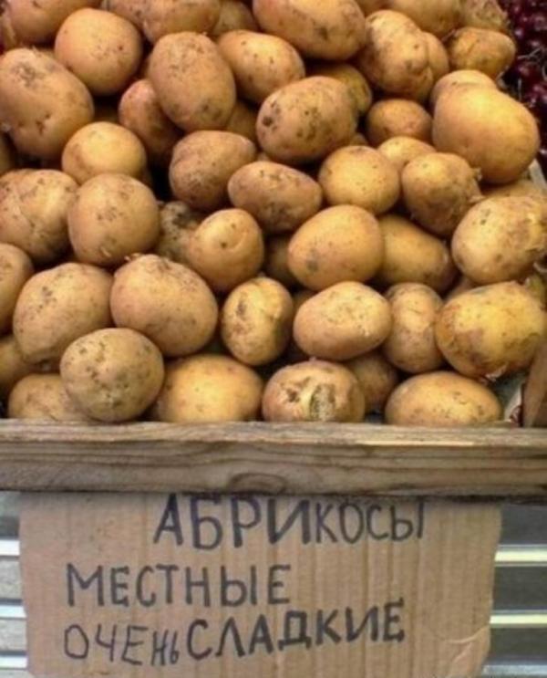 15 шедевральных объявлений с рынка (ФОТО)