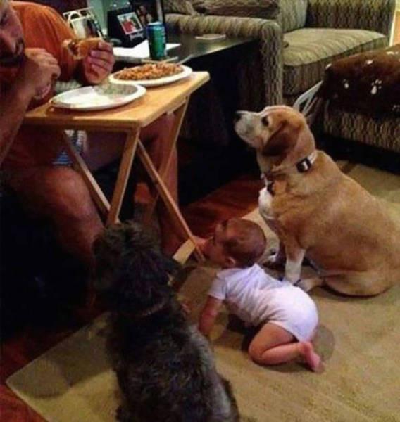 20 снимков из рубрики "Ох, уж эти дети" (ФОТО)