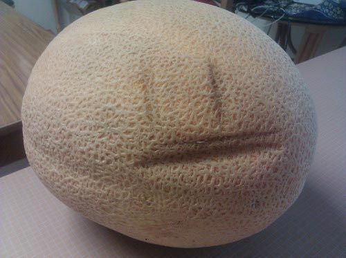 25 продуктов, которые знают, что такое боль и страх (ФОТО)