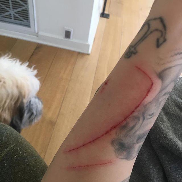 Майли Сайрус пострадала от собственной кошки (ФОТО)