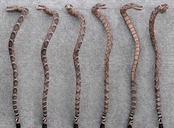 Реалистичные трости, от которых захватывает дух (ФОТО)