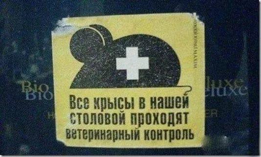 20 потрясающих объявлений и вывесок, мимо которых нельзя пройти (ФОТО)