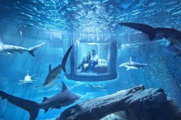 Любителям экстрима : подводная спальня на глубине 10 метров  (ФОТО)