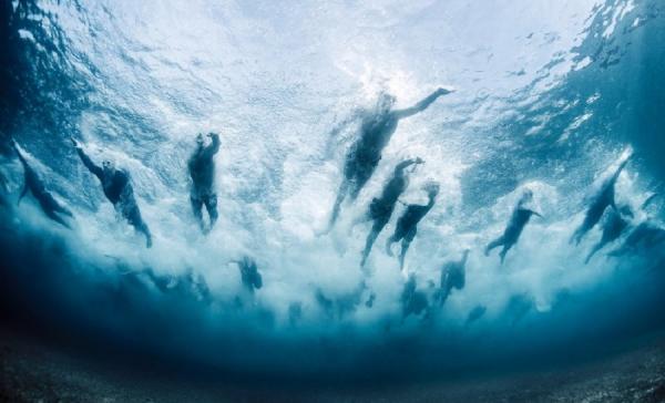 Жизнь в океане. Лучшие подводные снимки 2016 года (ФОТО)