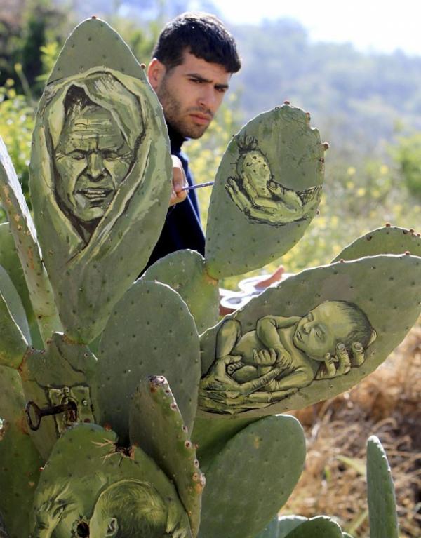 Палестинский художник пишет картины на кактусах (ФОТО)