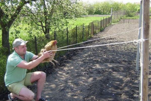 Отдых мечты. Такое увидишь только на даче (ФОТО)