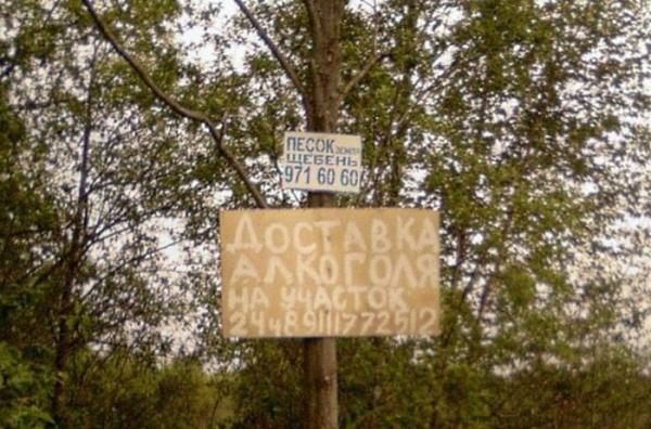 Отдых мечты. Такое увидишь только на даче (ФОТО)