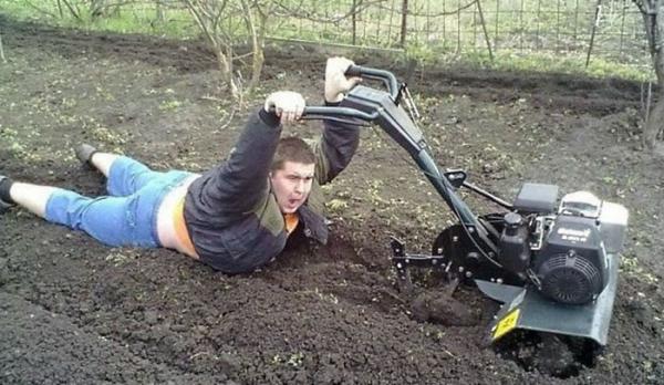 Отдых мечты. Такое увидишь только на даче (ФОТО)