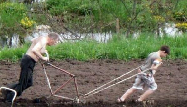 Отдых мечты. Такое увидишь только на даче (ФОТО)