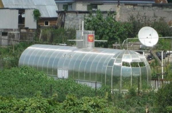 Отдых мечты. Такое увидишь только на даче (ФОТО)