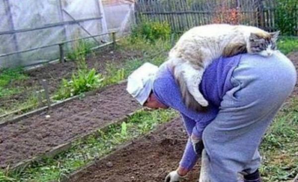 Отдых мечты. Такое увидишь только на даче (ФОТО)