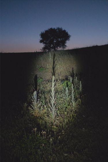 Удивительные снимки, позволяющие взглянуть на мир по-другому (ФОТО)