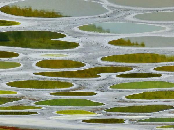 Красота природы:  диковинное пятнистое озеро в Канаде (ФОТО)
