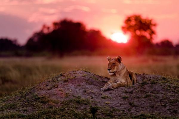 Конкурс фотографий National Geographic Traveler 2016 (ФОТО)