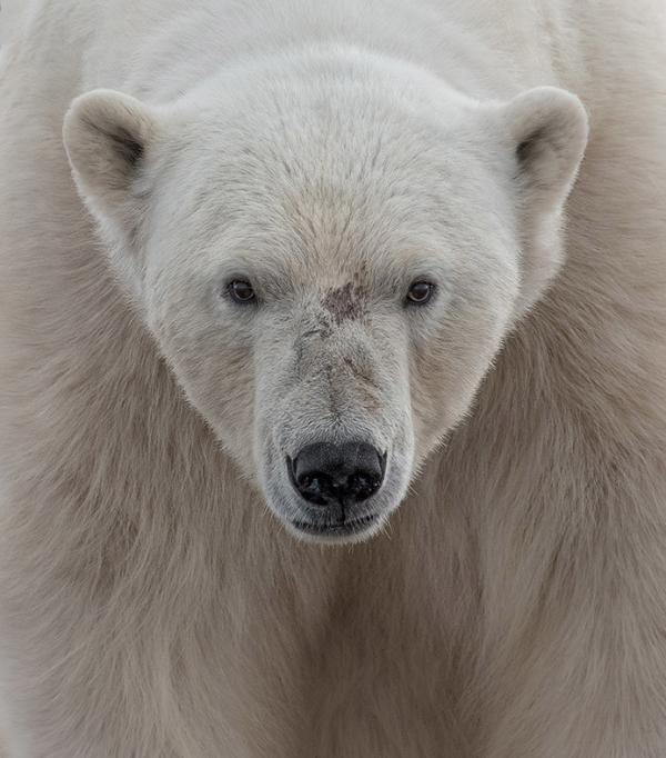 Конкурс фотографий National Geographic Traveler 2016 (ФОТО)