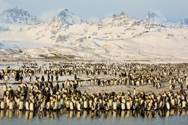 Конкурс фотографий National Geographic Traveler 2016 (ФОТО)