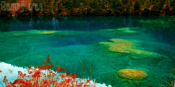 Озеро Пяти Цветов - большая тайна загадочного водоема (ФОТО)