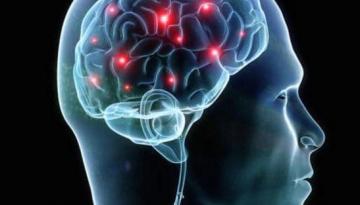 Ученые обнаружили в мозге "убийцу нейронов"