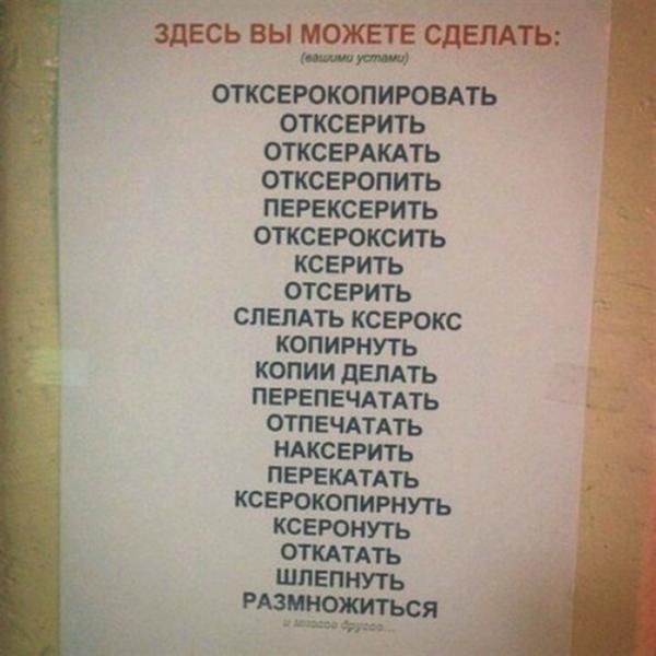 Чудесный сервис: десять уморительных объявлений о предоставлении самых странных и нелепых услуг (ФОТО)