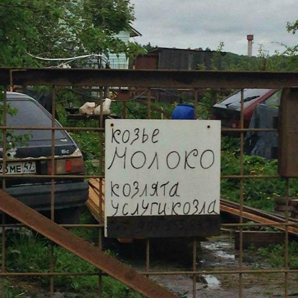 Чудесный сервис: десять уморительных объявлений о предоставлении самых странных и нелепых услуг (ФОТО)