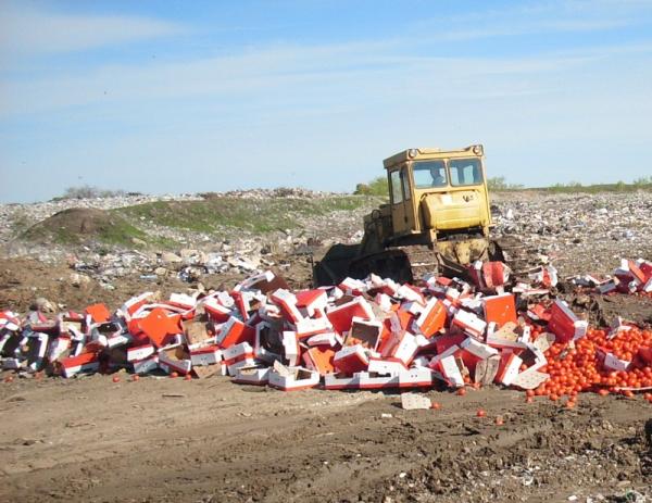 Пока ученые ищут способ накормить голодающих, в РФ продолжают уничтожать продукты (ФОТО)