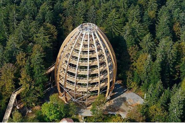 Тропа по вершинам деревьев в Баварии (ФОТО)