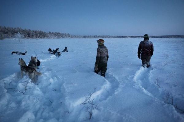 Жизнь отшельницы на севере Финлянди (ФОТО)