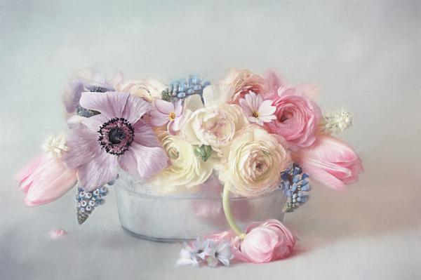 20 самых популярных макрофотографий в этом году (ФОТО)