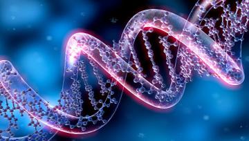 Генетики открыли 74 участка ДНК, связанных с отличной учебой