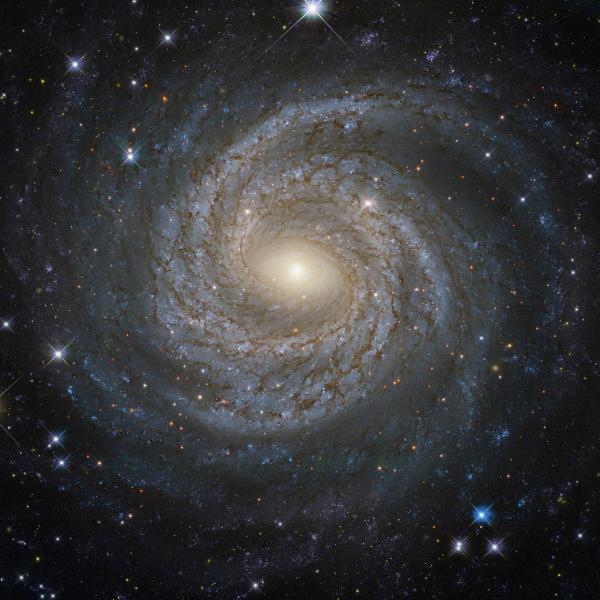 NASA продемонстрировало "сейфертовскую" галактику (ФОТО)