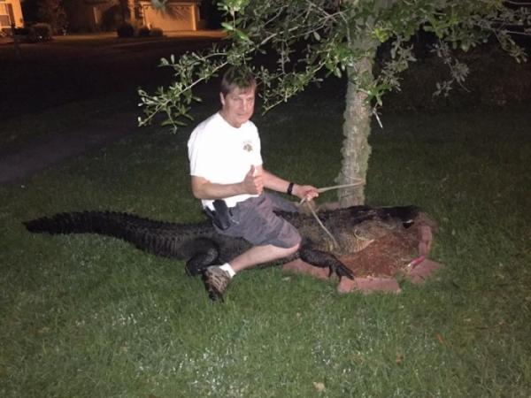 Незваный гость: аллигатор едва не вломился в жилой дом в Северной Каролине (ФОТО)