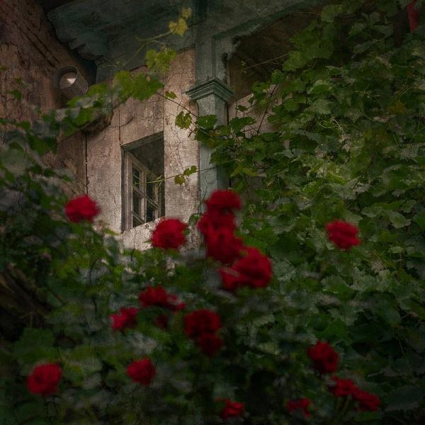 Взгляд со стороны: красота Грузии в работах фотографа из Аргентины (ФОТО)