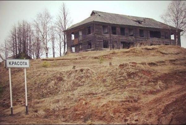 Реалии нашего мира в подборке забавных объявлений (ФОТО)