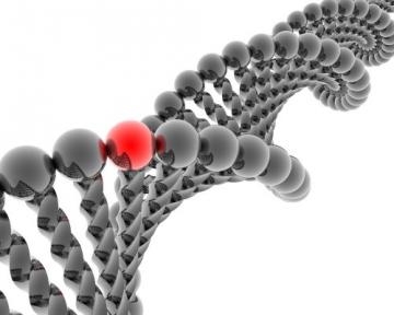 Ученые выявили зависимость структуры белка от количества мутаций