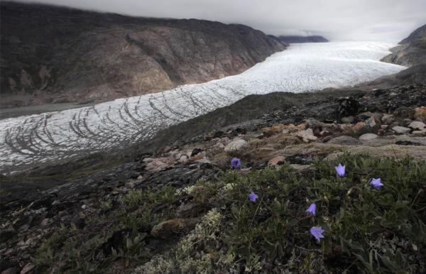 Зеленое королевство. Какие тайны скрывает от человечества Гренландия (ФОТО)