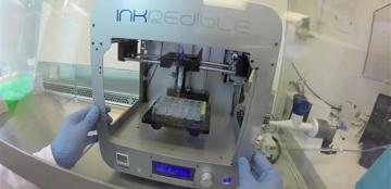 Ученые из Швеции напечатали хрящи на 3D принтере