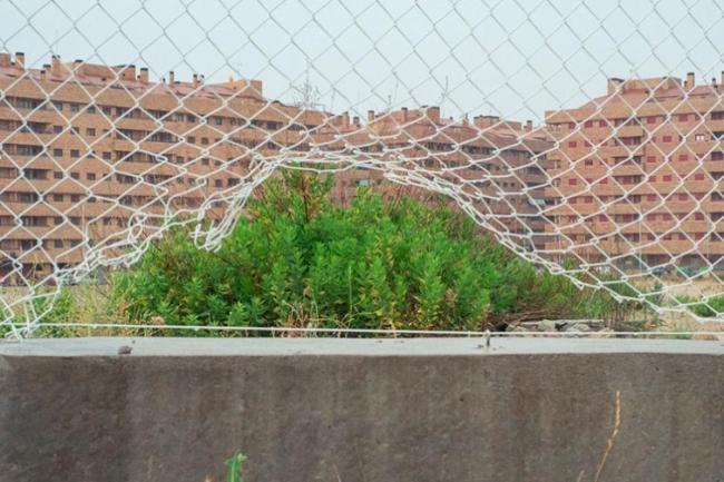 Удивительные снимки, позволяющие взглянуть на мир по-другому (ФОТО)