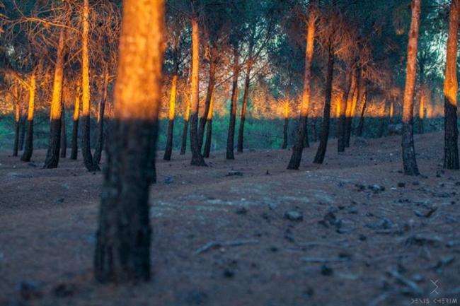 Удивительные снимки, позволяющие взглянуть на мир по-другому (ФОТО)