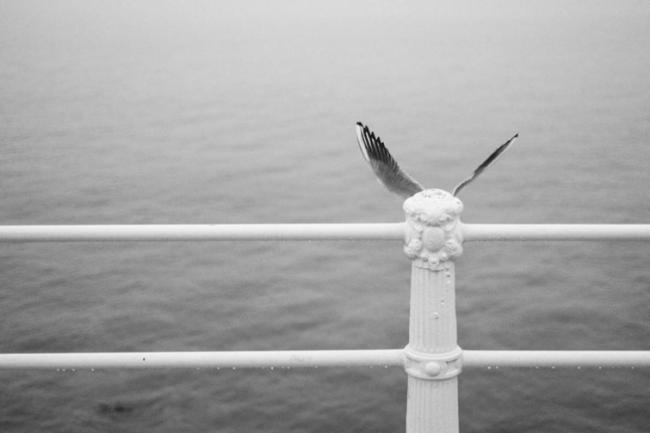 Удивительные снимки, позволяющие взглянуть на мир по-другому (ФОТО)