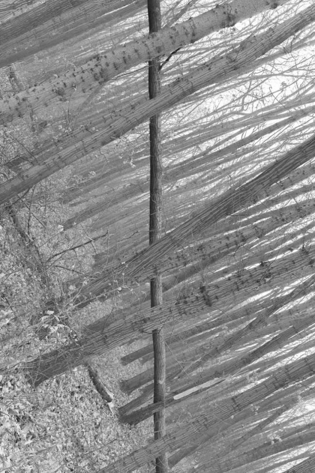 Удивительные снимки, позволяющие взглянуть на мир по-другому (ФОТО)