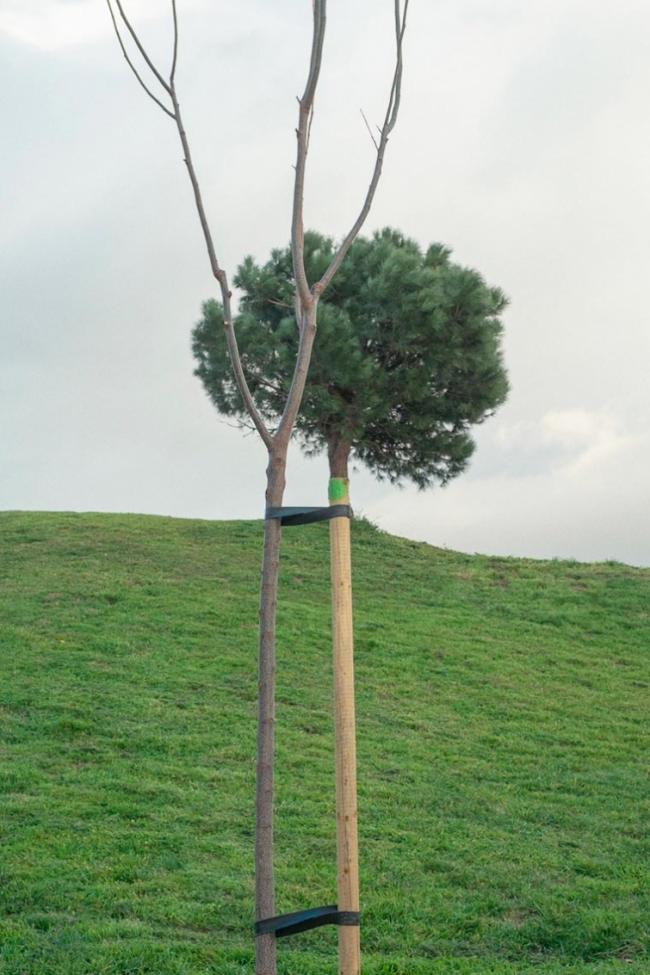 Удивительные снимки, позволяющие взглянуть на мир по-другому (ФОТО)
