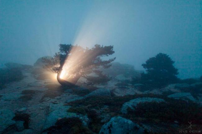 Удивительные снимки, позволяющие взглянуть на мир по-другому (ФОТО)