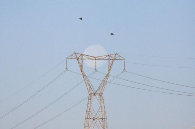 Удивительные снимки, позволяющие взглянуть на мир по-другому (ФОТО)