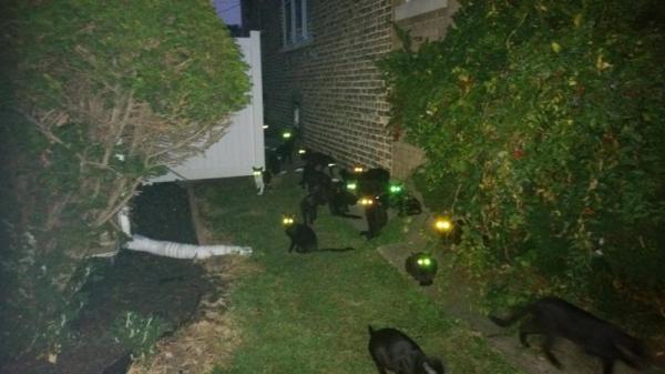 Подборка снимков, которая поставит вас в тупик (ФОТО)