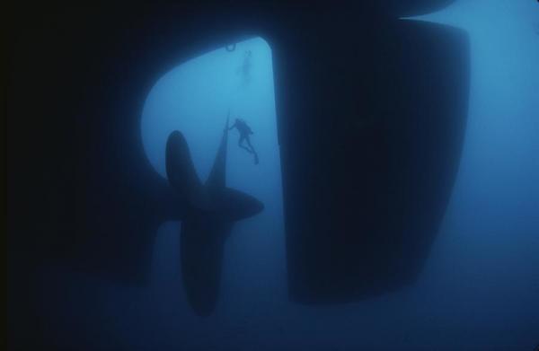 Подборка снимков, которая поставит вас в тупик (ФОТО)