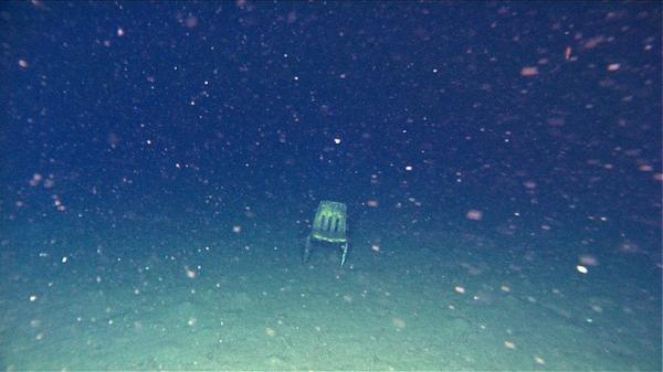 Подборка снимков, которая поставит вас в тупик (ФОТО)