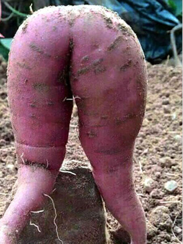 12 невинных фото, вызывающих "грязные" ассоциации у каждого взрослого человека (ФОТО) 12 невинных фото, вызывающих "грязные" ассоциации у каждого взрослого человека (ФОТО)