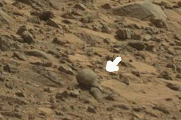 Уфологи обнаружили на Марсе странный предмет (ФОТО)