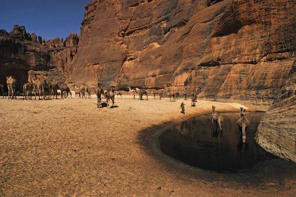 Чудо природы: удивительный оазис в пустыне Сахара (ФОТО)