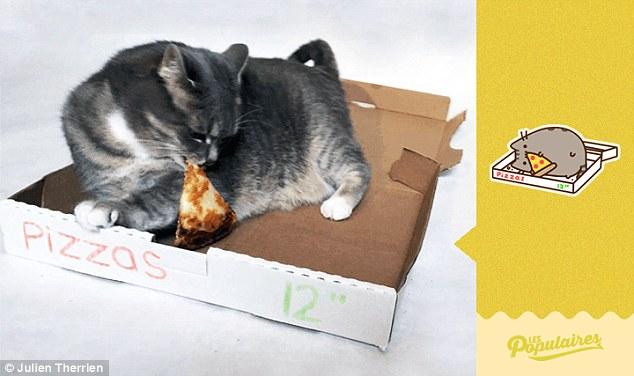 Француз воссоздал эмодзи из Facebook с помощью кота (ФОТО)